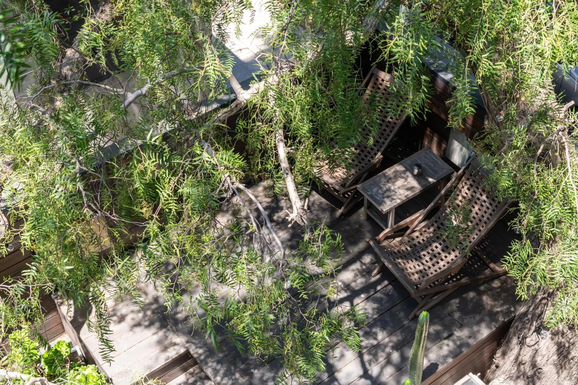 Venice Beach Studio With Large Private Patio Steps To The Beach لوس أنجلوس المظهر الخارجي الصورة