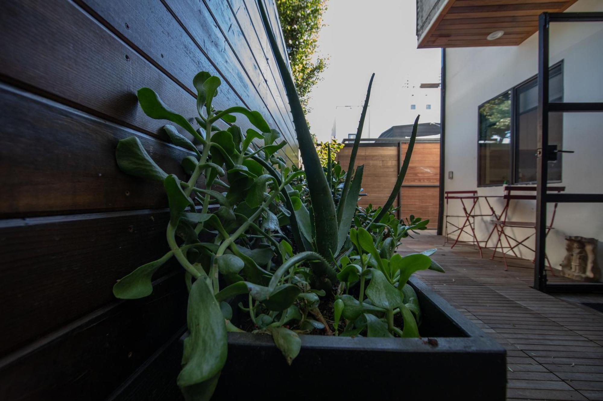 Venice Beach Studio With Large Private Patio Steps To The Beach لوس أنجلوس المظهر الخارجي الصورة